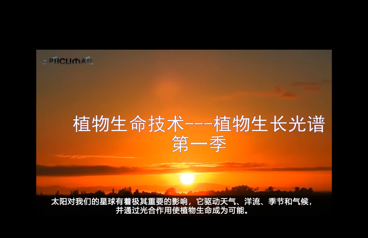 LED植物生命技术第一季植物工厂LED植物灯